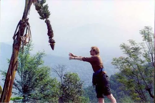 Без названия