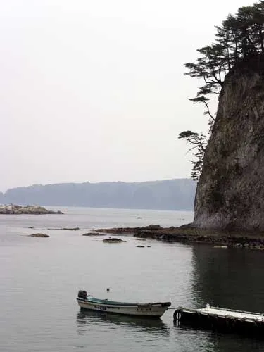 Без названия