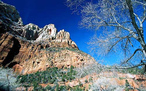 Стены каньона вдоль тропы к «Изумрудным прудам».
Zion National Park, Юта. Декабрь, 2002.