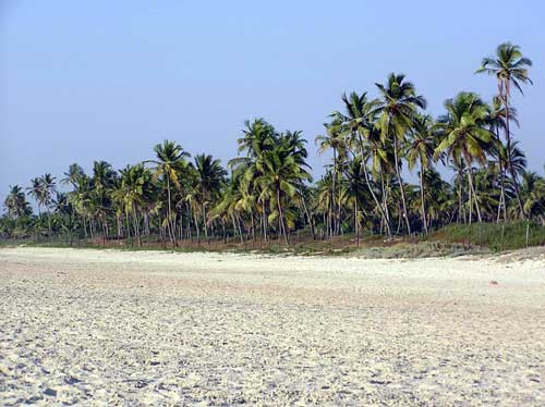 Majorda Beach. Гоа