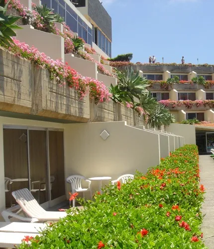 Немного о Мадейре