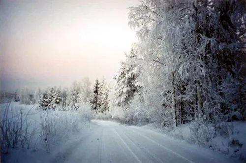 Новый год в финском коттедже