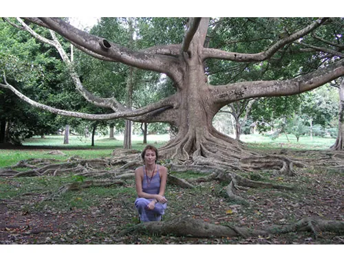 Путешествие по Шри-Ланке