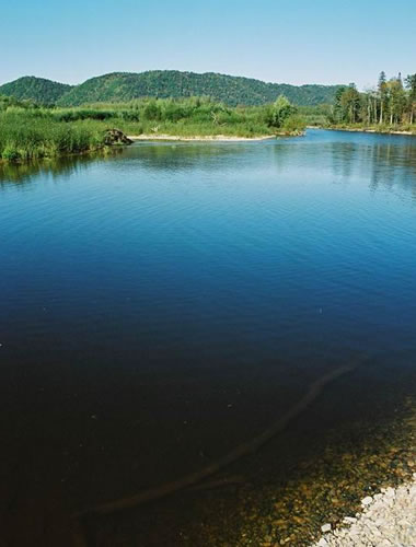 Хабаровский край. Сентябрь 2004. Экспедиция WWF.
Река Хор – приток Уссури