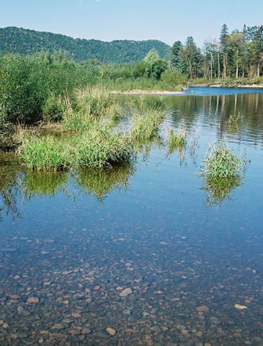 Хабаровский край. Сентябрь 2004. Экспедиция WWF.
Река Хор – приток Уссури