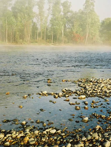 Хабаровский край. Сентябрь 2004. Экспедиция WWF.
Река Хор – приток Уссури. Туман