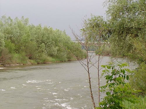 Река Прут в районе с. Глиница, Черновицкой области.