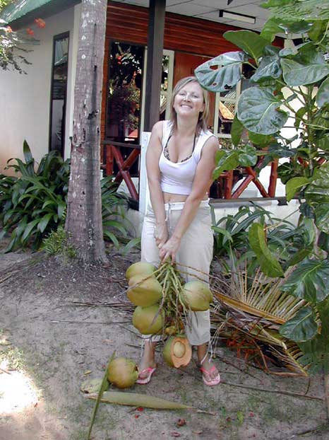 Отель Railay Bay Resort***. Кокосы падают на голову.