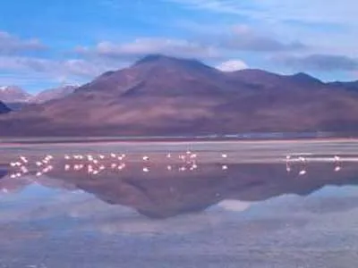 Без названия