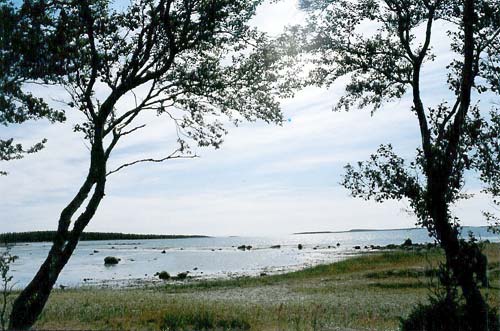 Белое море. Вид с Соловков.