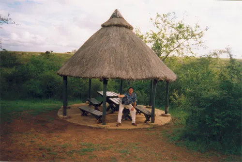 АКУНА МАТАТА, ИЛИ ДВЕНАДЦАТЬ ДНЕЙ В НАЙРОБИ