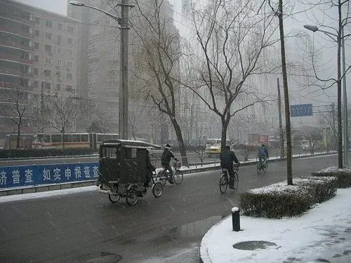 Весна в феврале, или Здравствуй,Чайна, Новый Год!