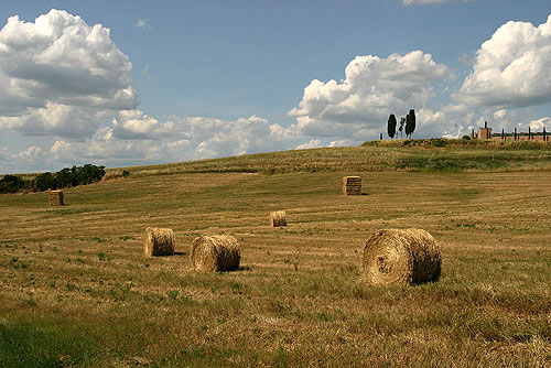 Тоскана