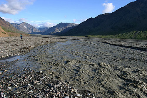 Разливающаяся Toklat river. Денали, Аляска