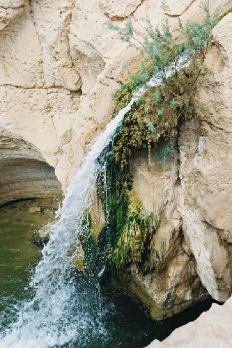 Сахара. Источник воды в оазисе