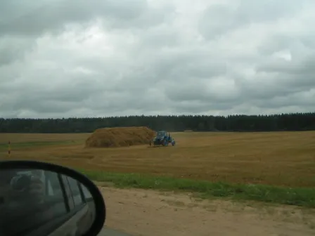 Проезжая по ухоженой Белорусской земле