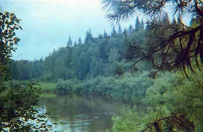 Быль о хангакуртских бичах