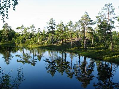 Ладожские шхеры, 2005