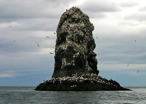 Путешествие по Аляске: часть 4 — залив Качемак