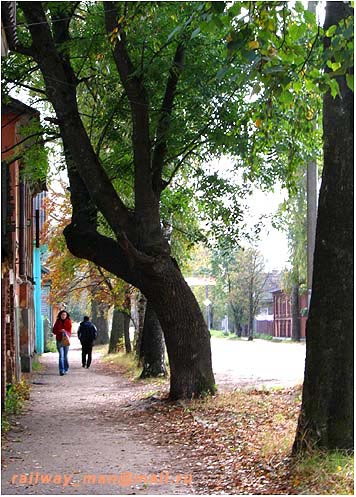 Осташков. Осень на Ленинском проспекте