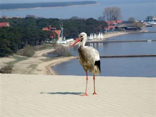 Что мы забыли в Литве? (май 2006)