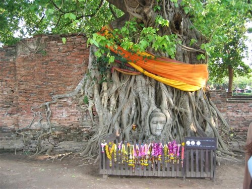 Ayutthaya (1)