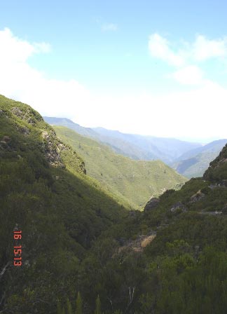 Мадейра. Ущелье Ribeira da Janela