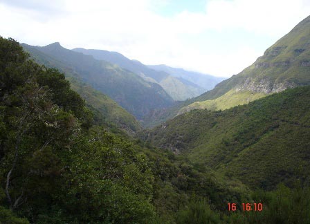 Мадейра. Ущелье Ribeira da Janela