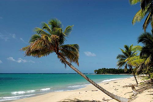 welcome on the beach of playa limon