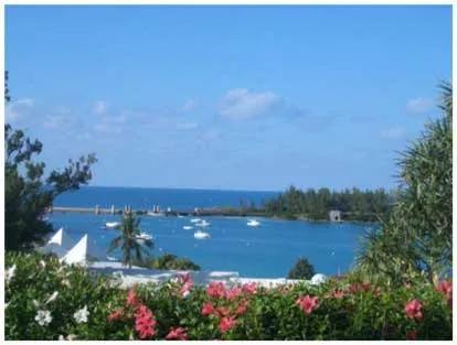 Новый год на Бермудах