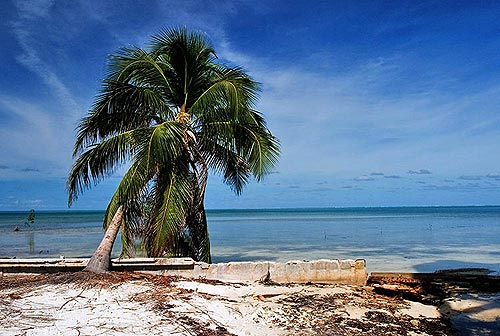 Необитаемый остров в Карибском море.