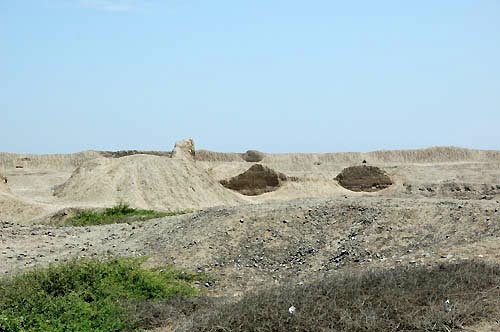 Чан-Чан, панорамный вид. Город состоял из нескольких кварталов прямоугольной формы, каждый из которых был окружен стенами высотой до 9 м.