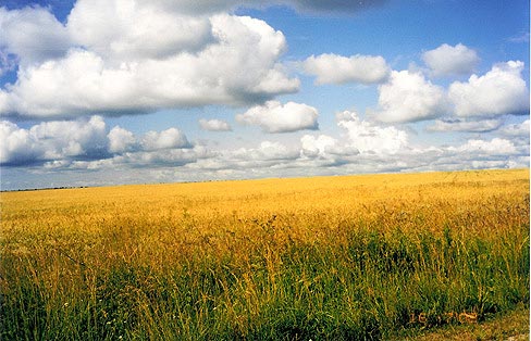 Пейзаж при подъезде к Старой Ладоге