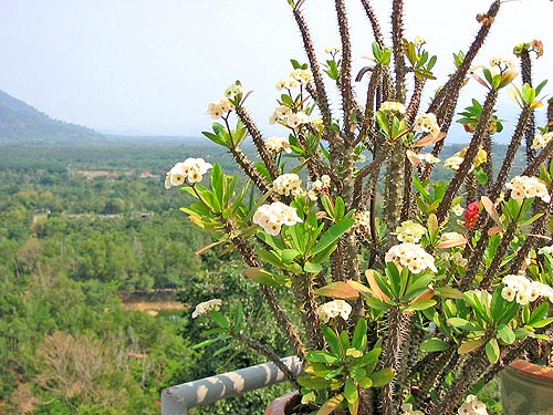 Чантабурри