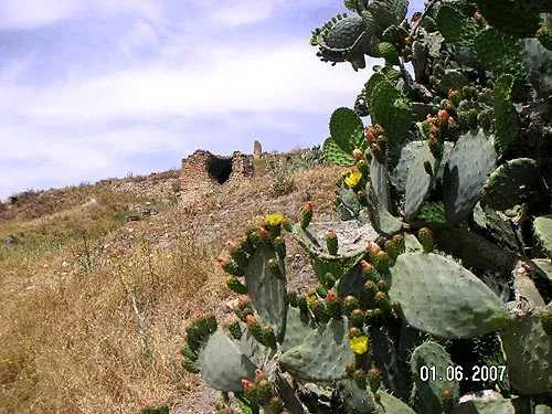 Буржуазный отпуск в Северной Африке