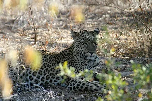 Без названия