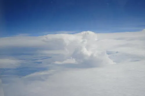 Превед, медвед!)))