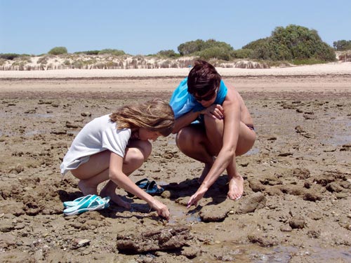 Дно океана после отлива. У отеля «Playa de la Luz».