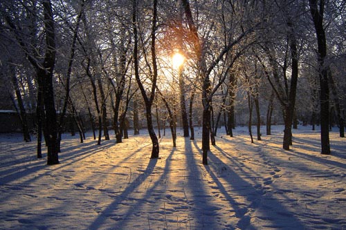 Солнечные дорожки