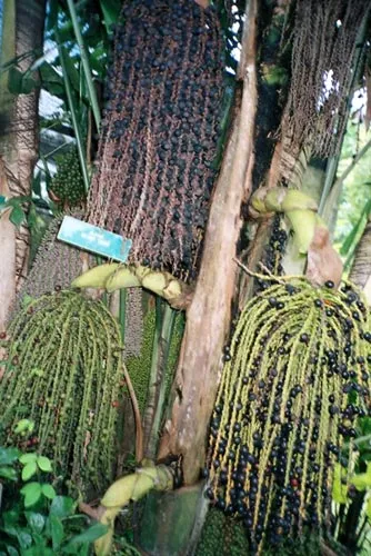 Без названия