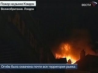 фото: Vesti.ru