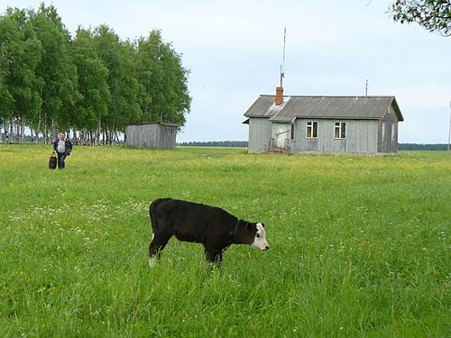 Наконец, мы приземлились в Кинешме. Серый домик - енто местный аэропорт