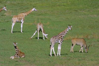 фото: Zoo Praha