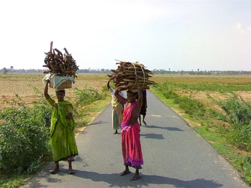 Поход на хворостом