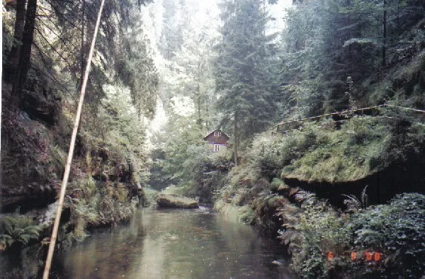 Свиные крылышки. (Чехия, сентябрь 2008).