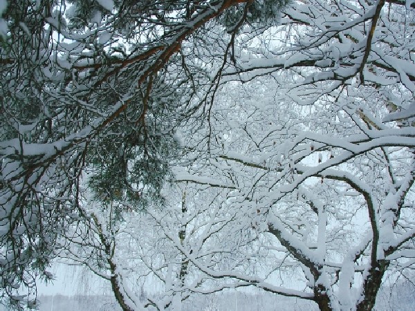 Фотограф: Денис Ивкович