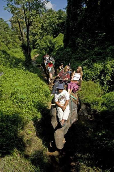 Chiang Mai. Maetaman Elefant Camp. Trip