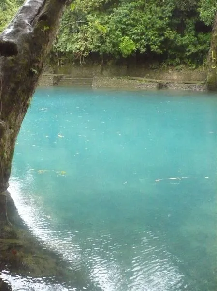 Вулкан Майон и плавание с китовыми акулами