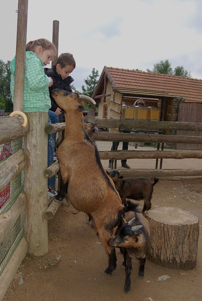 Пражский зоопарк