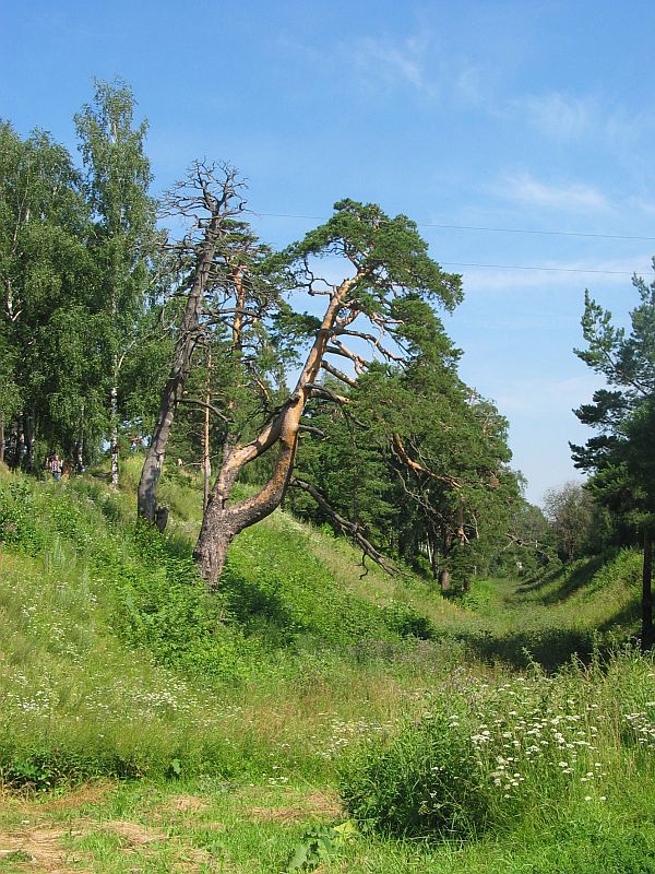 Городецкий вал